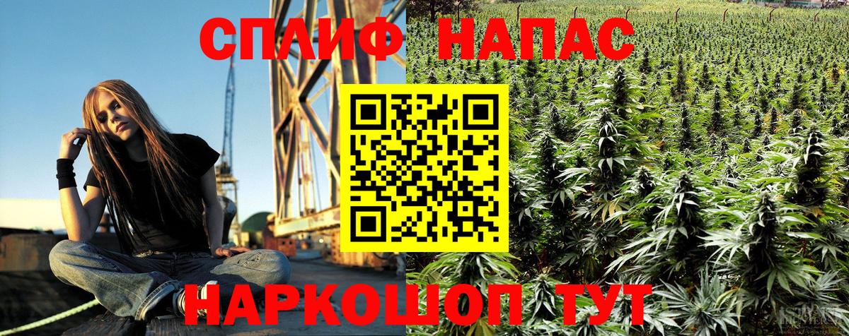 Марихуана OG Kush Санкт-Петербург